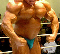 bodyjpg.jpg