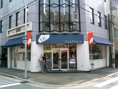 dogp5.JPG