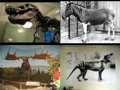 extinct_m.jpg