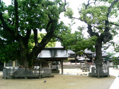 kannon.jpg