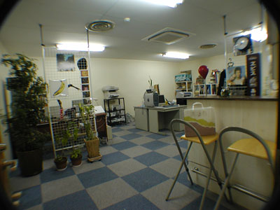 room.jpg