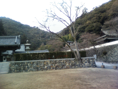 ryuanji.jpg