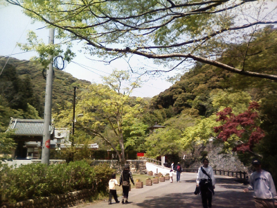 ryuanji2080426.jpg